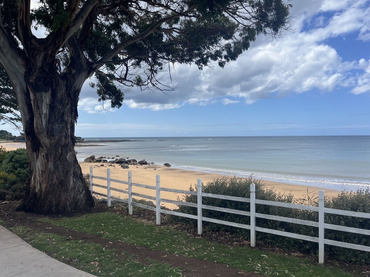 Penguin beach foreshore with white fence, golden sand and ocean views under a large coastal tree