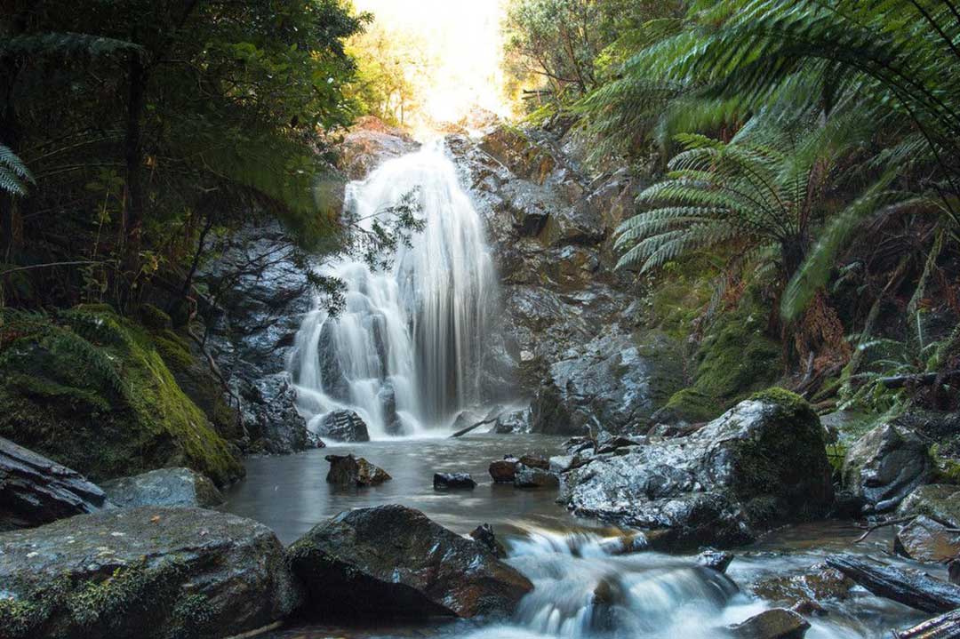 Stunning waterfall cascading through lush Tasmanian rainforest at Leven Canyon