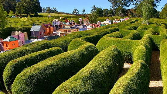 Aerial view of the giant hedge mazes and miniature village at Tasmazia, Tasmania